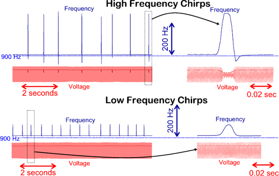 Chirp Traces